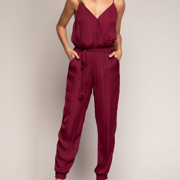 Naked Zebra Other - Naked Zebra One Piece Jump Suit Cranberry